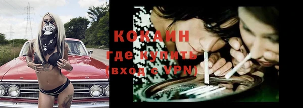 шишки Вяземский