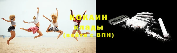 крисы Вязьма