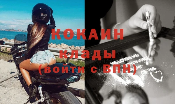 крисы Вязьма