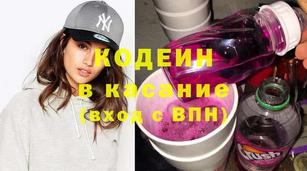 шишки Вяземский