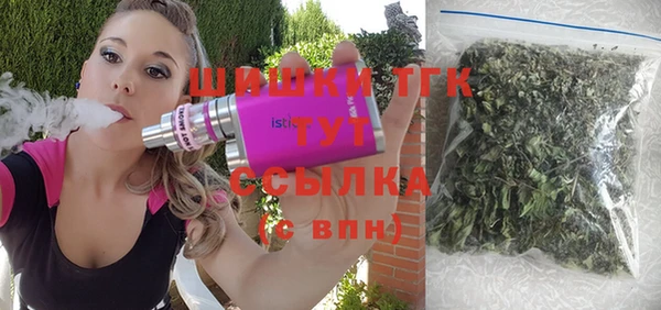 шишки Вяземский