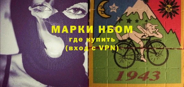 шишки Вяземский