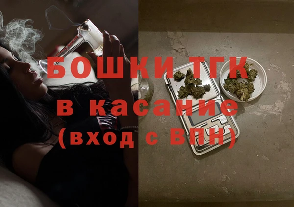 шишки Вяземский