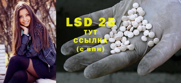 крисы Вязьма