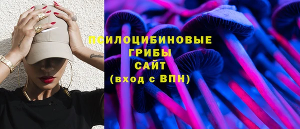 шишки Вяземский