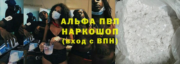 шишки Вяземский