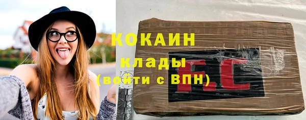 шишки Вяземский