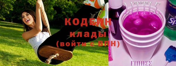 шишки Вяземский